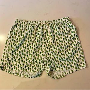 MC2 Saint Barth Mens micro Cactus Sun print Swim Shorts